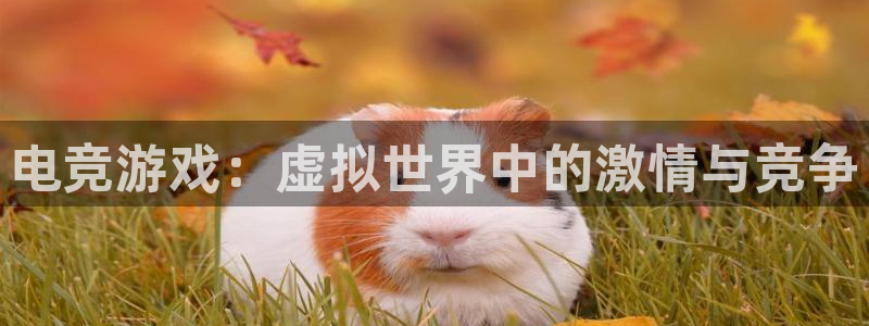 乐鱼电竞官网：电竞游戏：虚拟世界中的激情与竞争