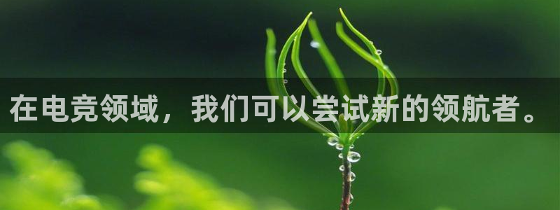 乐鱼电竞app：在电竞领域，我们可以尝试新的领航者。