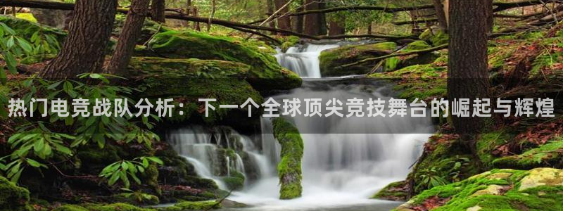 乐鱼电竞：热门电竞战队分析：下一个全球顶尖竞技舞台的崛起与辉煌